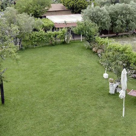 Yiannis Rania 폴리크로노