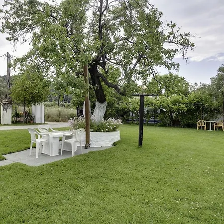 Yiannis Rania * 폴리크로노