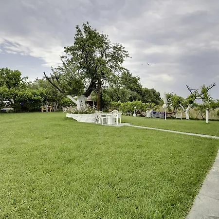 Yiannis Rania * 폴리크로노