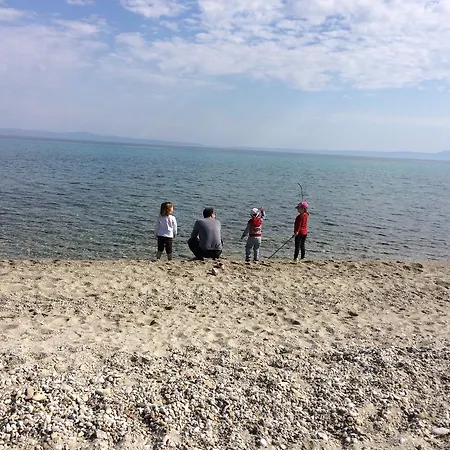 Yiannis Rania * 폴리크로노